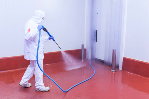 Best Pre-Holiday Cleaning  in Santa Claus, IN
